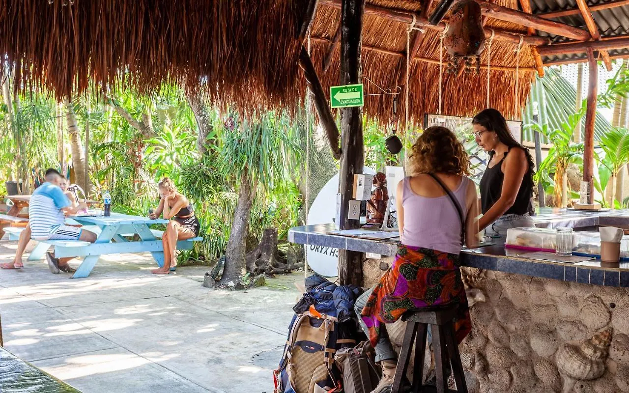 Hostel Oryx Tulum Pueblo Mexico