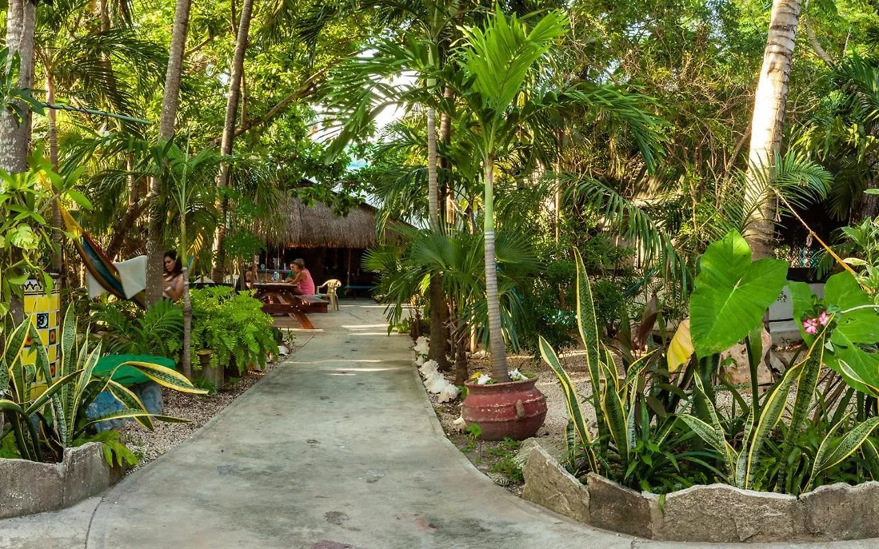 Hostel Oryx Tulum Pueblo Mexico
