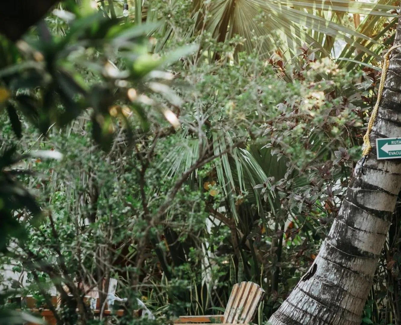 Hostel Oryx Tulum