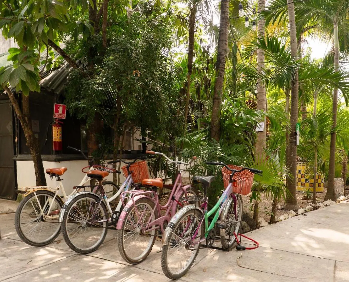 Hostel Oryx Tulum Pueblo 0*,  Mexico